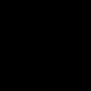 Meet your Posher, Brooklyn